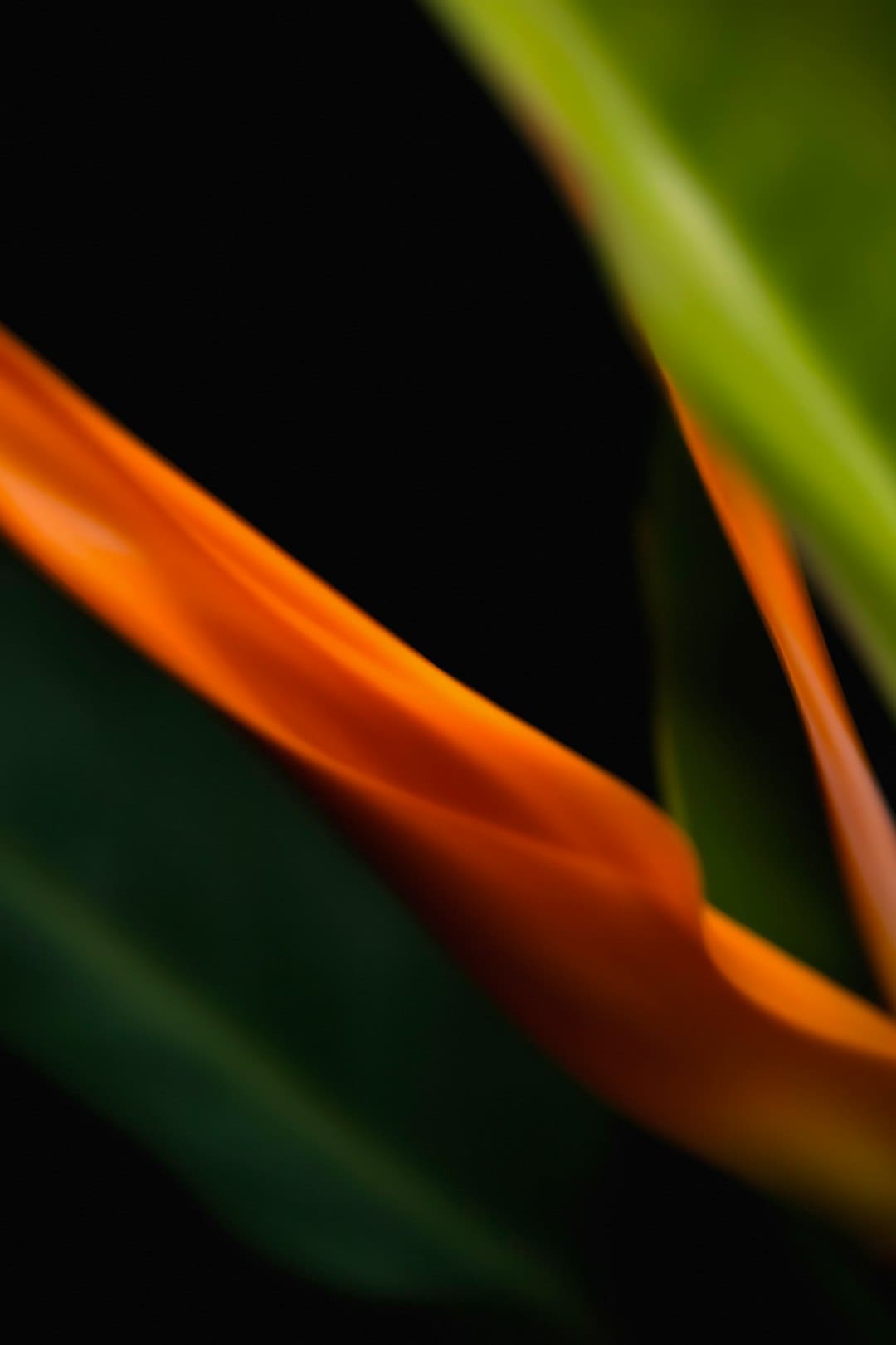 https://static.ws.126.net/163/frontend/images/2022/empty.png